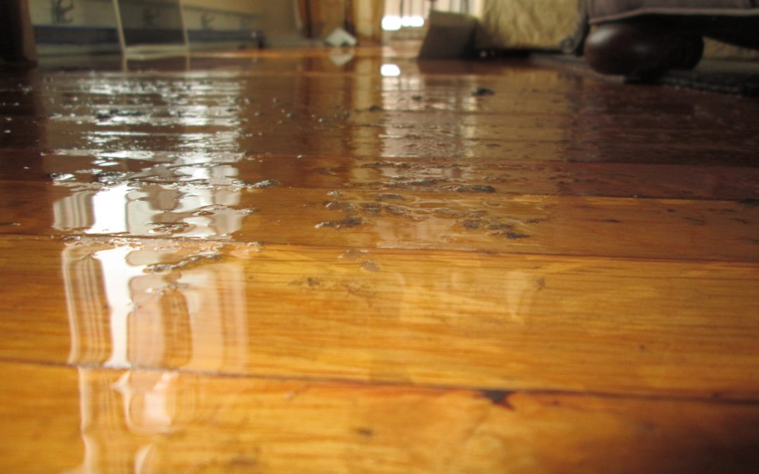 Flowing Consequences The Price of Neglecting Water Damage Repair